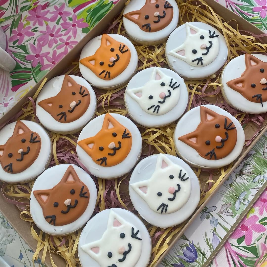 Cat themed decorated cookies